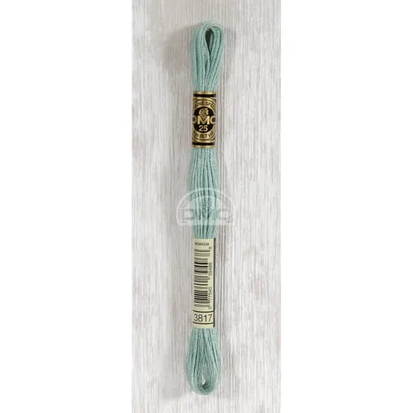 DMC Mouliné Stranded Cotton Embroidery Thread (Shades 3716 - 3866) 117MC-