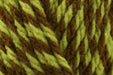 Hayfield Bonus Marl Chunky