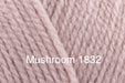 Stylecraft Special DK (L to W)