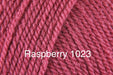 Stylecraft Special DK (L to W)