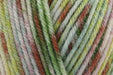Stylecraft Colour Burst DK