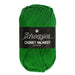 Scheepjes Chunky Monkey (Thick Aran Weight)