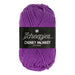 Scheepjes Chunky Monkey (Thick Aran Weight)