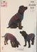 King Cole 5760 Crochet Dog Coats