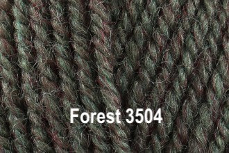 King Cole Fashion Aran 400G - Forest 3504