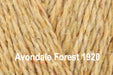 King Cole Forest Aran - 100% Recycled - Avondale Forest 1920