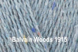 King Cole Forest Aran - 100% Recycled - Balvain Woods 1915