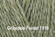 King Cole Forest Aran - 100% Recycled - Grizedale 1918