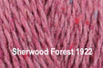 King Cole Forest Aran - 100% Recycled - Sherwood Forest 1922