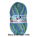 Opal Large Wilder Winter 8-Ply Sock Wool