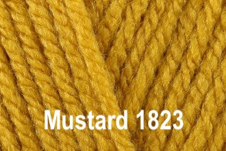 Stylecraft Special Aran 1001 White  Yarnplaza – For knitting & crochet