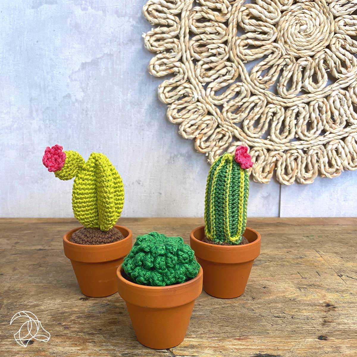 Cacti Crochet Kit - Hardicraft
